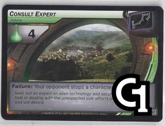 Consult Expert